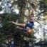 Zipline Whistler Teambuilding